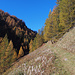 Der schön angelegte Bergweg oberhalb Heiligkreuz