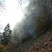 Sonne, Nebel und Felsen
