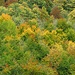 Der Herbst ist im Alpstein angekommen.