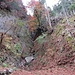 Querung unter dem Schindleren Tobel (?) - eine beeindruckende Felsschlucht, die wohl eher geologischen Ursprungs ist als das Produkt dieses Bachs...