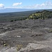 Blick zum grünen Pu'u Huluhulu Crater