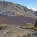 Blick vom Sliding Sands Trail in den NP