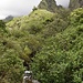 hier die berühmte grüne Felsnadel, welche den Fluss Iao überblickt...
