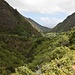 Blick Talauswärts aus dem Iao-Valley gen Wailuku