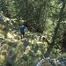Aufstieg durch aufgelockerten Wald