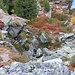 Herbst in den Tuxer Alpen