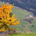 Herbst in Wattenberg