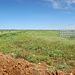 Wir fuhren von Tibooburra zunächst zur Mount Wood Homestead, an dieser vorbei zum Carpark