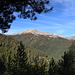 Unweit vom Col de Verde - Ausblick auf das Monte Renoso-Massiv.