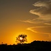 Sunset in the desert ....