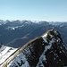 .. und bis zum Finsteraarhorn.<br />Vorn das Federi-Gipfelkreuz