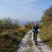 Bald wird das Gelände freier und die Aussicht schöner