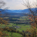 Ausblick vom Wanderweg durch den Wald ins Rheintal hinunter.