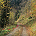 hier komme ich auf den "offiziellen" Wanderweg, der ein Stück auf dieser breiten Strasse hinauf führt. 