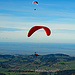 juhui! wir fliegen zum Bodensee