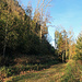 nun bin ich auf dem Höhenweg in Richtung Plona