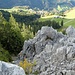Wunderschöne Fels-/Wald-Landschaft