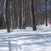 Einzigartig im Tessin, Schneeschuhwandern in Buchenwäldern