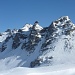 Wildseehörner