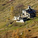 Madonna delle Nevi