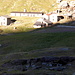 Alpe Sasso