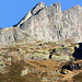 penso.....golosità per climbers