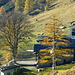 arrivo alla chiesetta e rifugio Madonna delle Nevi
