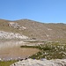 Wollgras am Lago d. F.