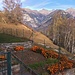 Herbst auf Bergnauri
