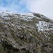 Ich entscheide mich, diese Flanke zum Geiergrat hinaufzusteigen.