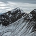 Westlicher Geierkopf im Zoom
