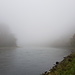 Donau im Nebel