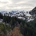 Kurz bevor der Weg zur Pitzalm abzweigt, zeigt sich erstmals das zentrale Karwendel