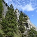 steile Felswände im Bortwald ...