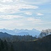 Am Kamm oben bekommt man die Alpen zu Gesicht