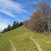 Von links kommend, geht es ein Stück weit im spitzen Winkel Richtung Schnebelhorn zurück. Ein Stück oberhalb der einzelnen Person zweigt dann der wrw markierte Bergweg in die Flanke zur Meiersalp rüber ab