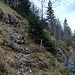 Weg von der Stenna- zur Rumplat-Alpe