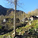Località Cimallegra