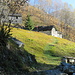 Alpe Fornalei
