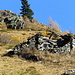 Alpe Forcola