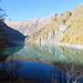 riflessi