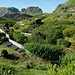 Im Lavafeld oberhalb verbirgt sich ein kleiner Garten, den ein Isländisches Paar in langjähriger Pflege der Natur abgetrotzt hat.