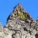 Im Aufstieg vom Refuge de l'Erco zum Monte Cinto - Vorbei an farbigem Fels.