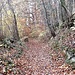 Herbstliches Ambiente auf dem Schlauchenweg, der aus dem Dorf über die Straße zur Alten Kirche in den Wald hinauf und auf die Hochfläche mit dem Bisongehege führt