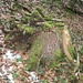 und "arbeitet" die Natur langfristig am Ab- und Aufbau