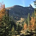 goldener Herbst - mit Tanzbödeli und Spitzhorn