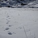 I primi passi sulla neve...