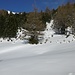 Ich habe eine Route durch eine Waldlücke zum Bergkamm unter dem Schröfkopf entdeckt.