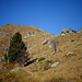 Alpe Colmetto e anticima della Punta d'Arbella.