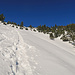 die letzten ca. 200 Meter bis zum Gipfel sind recht steil und in dem aufgeweichten Schnee dementsprechend mühsam, oben rechts ist das Gipfelkreuz bereits sichtbar.